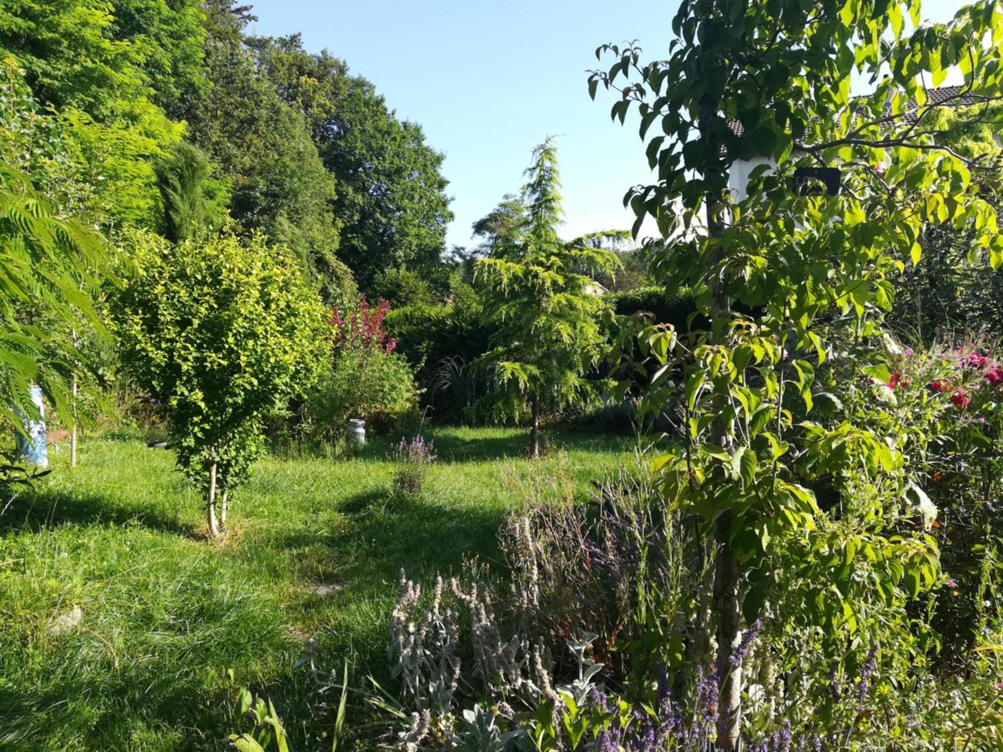 Apiculteur Loue 2 Chambres Dans Cadre Verdoyant Pagny-sur-Meuse Exterior foto